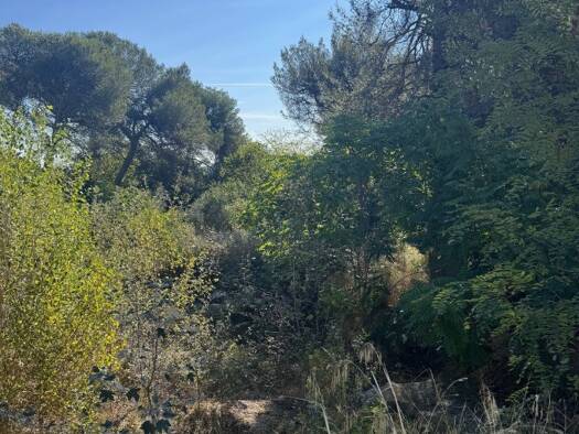 Terrain constructible à vendre 295 900 € 720 m² de terrain Exterieurs Cabriès 13480