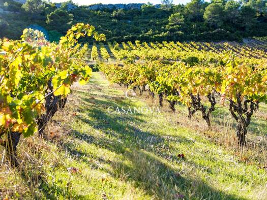 Maison à vendre 1 590 000 € 6 pièces 1 chambre 200 m² 300 000 m² de terrain Saint-Chinian 34360