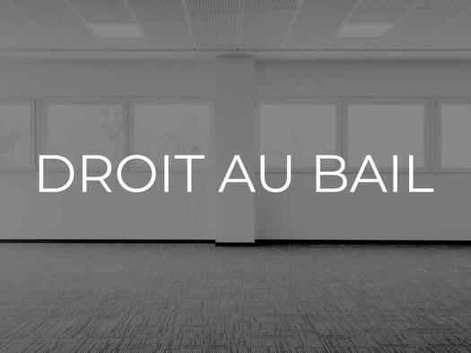 Local commercial avec bail commercial 1 000 € Centre Ville Beaune 21200