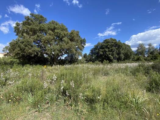 Terrain constructible à vendre 126 600 € 900 m² de terrain Ghisonaccia 20240