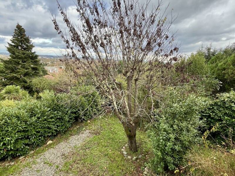 Maison à vendre, 200m², RAMONVILLE SAINT AGNE