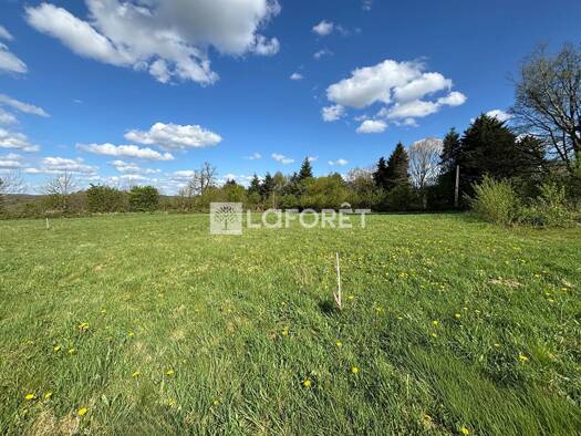 Terrain à vendre 14 176 € 973 m² de terrain Sainte Opportune 61100