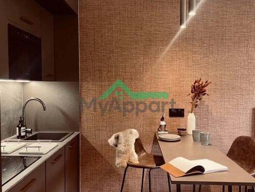 Appartement à louer 1 250 € 1 pièce 25 m² Demi-Quartier 74120