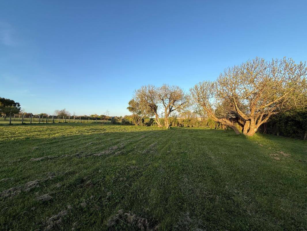 Maison à vendre, 200m², MESCHERS SUR GIRONDE