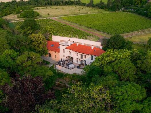 Maison à vendre 2 290 000 € 11 pièces 5 chambres 481 m² 6 150 m² de terrain La Montagne Dijon 21000