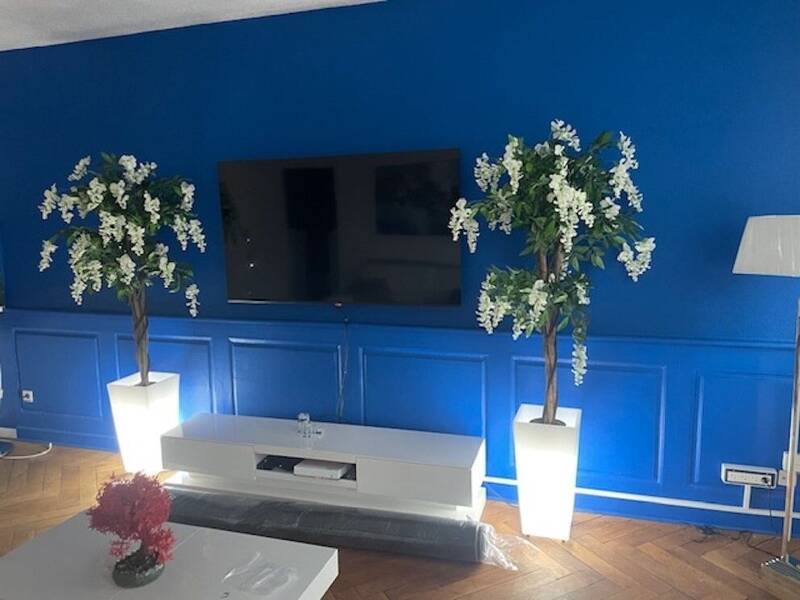 Maison à louer, 35m², STRASBOURG