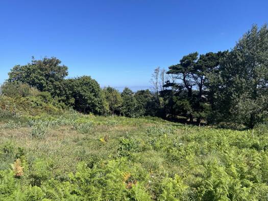 Terrain à vendre 65 000 € 727 m² de terrain Plouarzel 29810