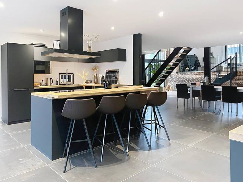 Maison à vendre, 423m², ORCHIES