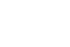 LEMAN PROPERTY PRESTIGE logo
