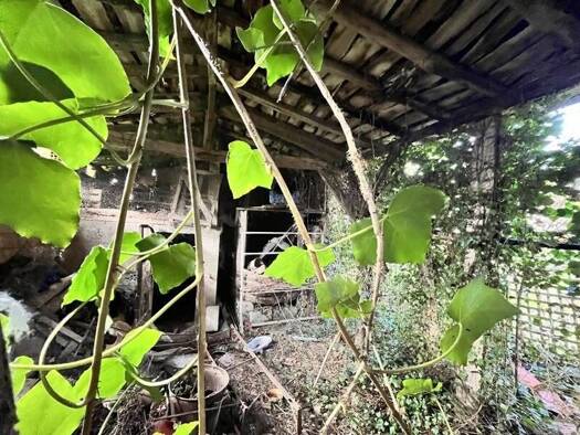 Maison à vendre 52 000 € 4 pièces 3 chambres 155 m² 300 m² de terrain Mane 31260