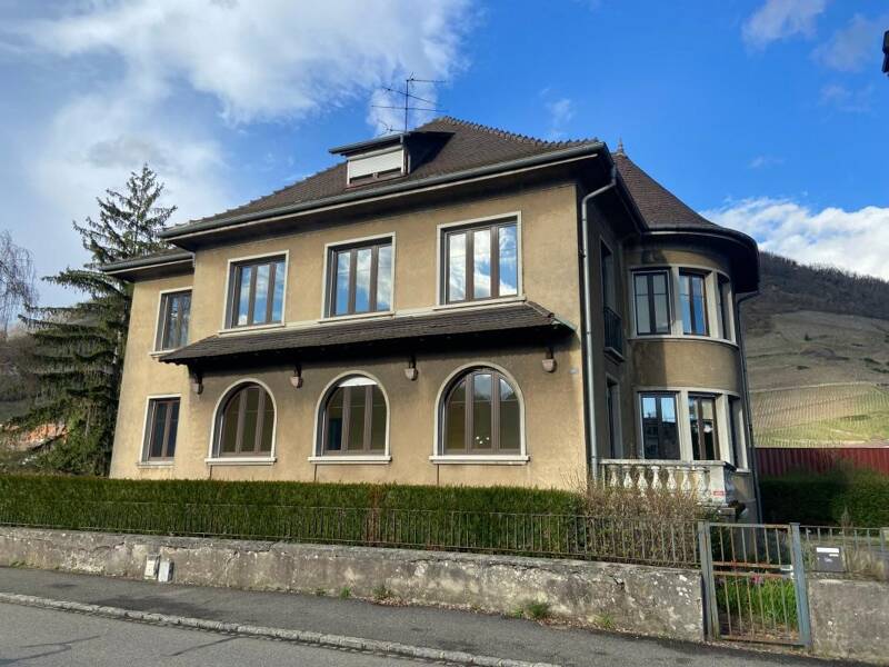 Maison à vendre, 310m², THANN