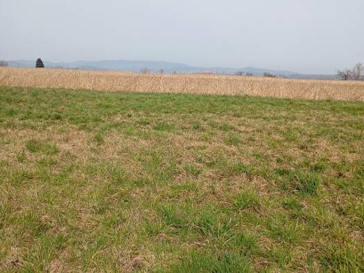 Terrain constructible viabilisé à vendre 60 000 € 987 m² de terrain Ardoix 07290