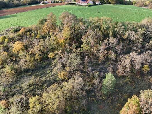 Propriété de loisirs à vendre 10 000 € 13 065 m² de terrain Le Vigan 46300