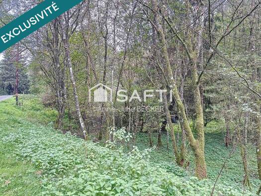 Propriété de loisirs à vendre 35 000 € 20 774 m² de terrain Siersthal 57410