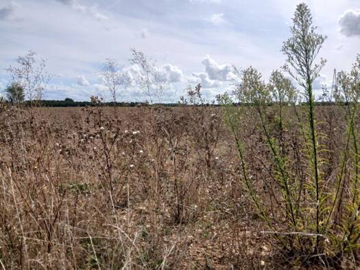 Terrain constructible à vendre 79 900 € 385 m² de terrain Frénouville 14630