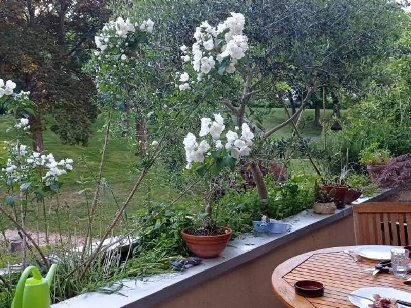 Maison à louer, 19m², VERRIERES LE BUISSON