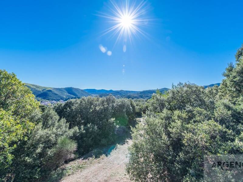 Maison à vendre, 755m², MONTPELLIER