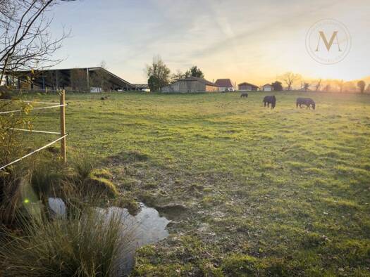 Maison à vendre 695 000 € 6 pièces 4 chambres 118 m² 200 000 m² de terrain Mazières-Naresse 47210