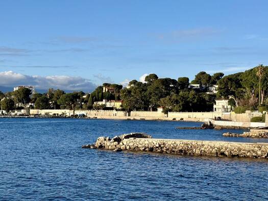 Appartement à vendre 339 000 € 2 pièces 1 chambre 44 m² RDC/5 Le Cap Antibes 06600