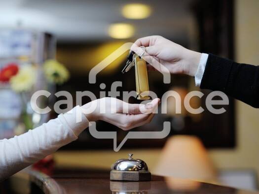 Hôtel à vendre Fonds de commerce 4 139 000 € 20 pièces 1 600 m² d'espace de restauration Saint-Victor-des-Oules 30700