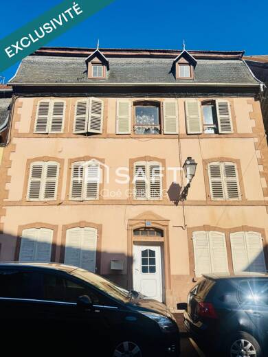 Maison à vendre 75 000 € 8 pièces 5 chambres 250 m² 238 m² de terrain Sarralbe 57430