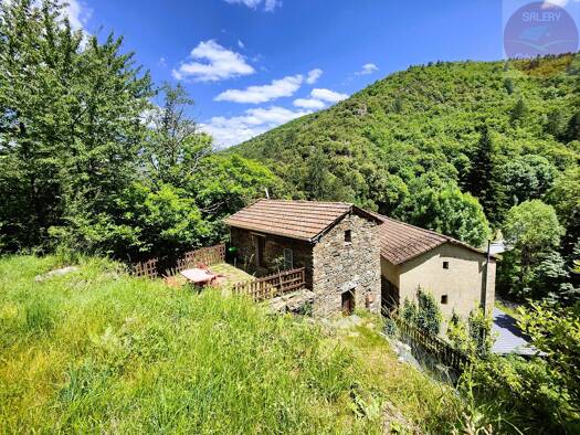 Maison à vendre 489 000 € 15 pièces 9 chambres 385 m² 38 712 m² de terrain St Andre de Valborgne 30940