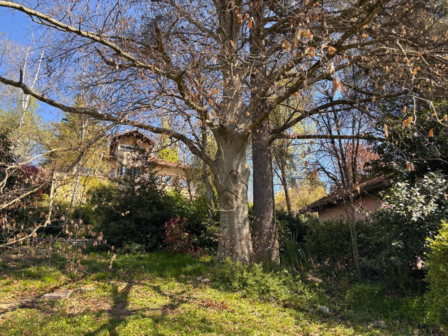 Maison à vendre, 290m², LA COTE SAINT ANDRE