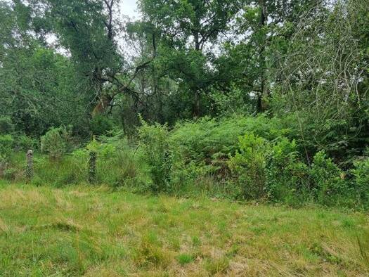 Terrain constructible à vendre 184 210 € 1 285 m² de terrain Marcheprime 33380