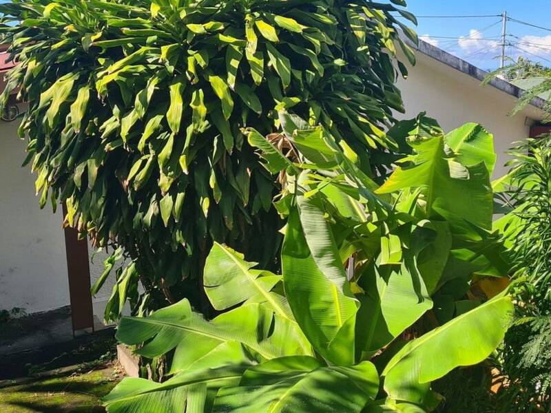 Maison à vendre, 115m², LE TAMPON