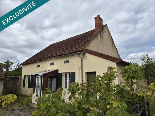 Maison à vendre 99 500 € 3 pièces 2 chambres 59 m² 3 171 m² de terrain Bellenaves 03330