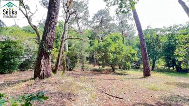Terrain à vendre 1 352 000 € 1 050 m² de terrain Pereire-Ville-d'Hiver Arcachon 33120