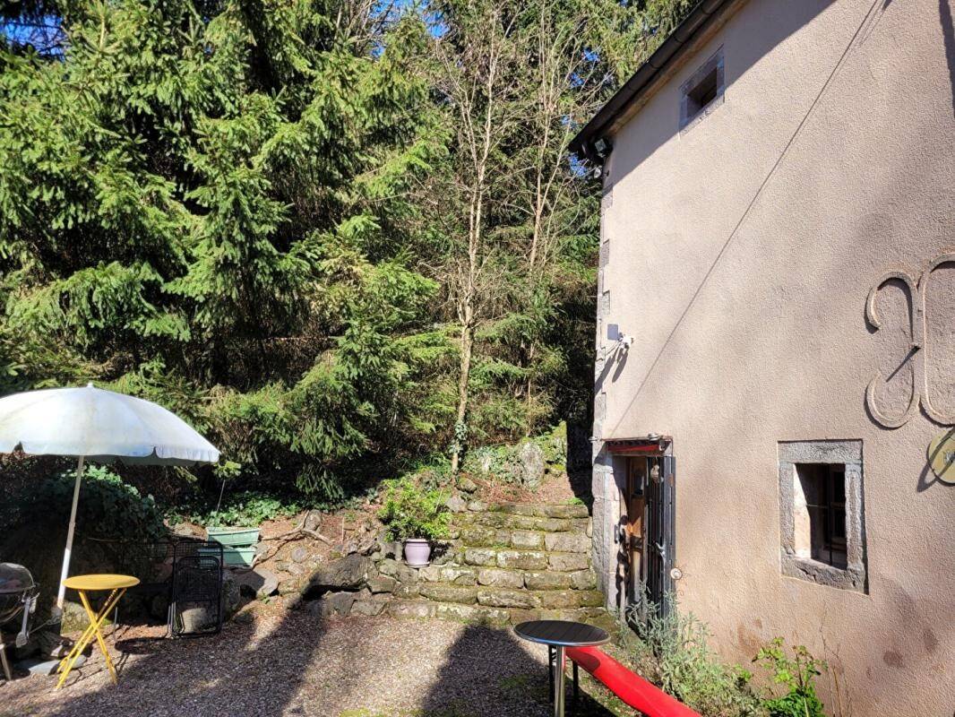 Maison à vendre, 314m², SAINTE MARIE EN CHANOIS