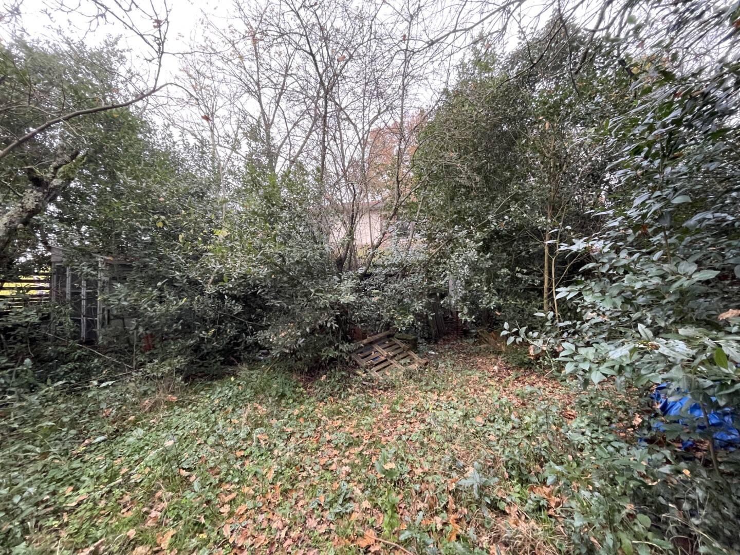 Maison à vendre, 75m², TALENCE
