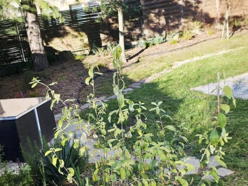 Maison à vendre, 195m², METZ