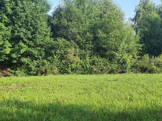 Terrain à vendre 15 000 € 857 m² de terrain Ladignac le Long 87500