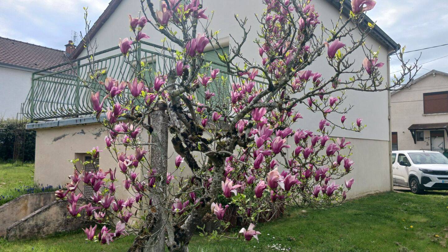 Maison à vendre, 110m², TOULON SUR ARROUX