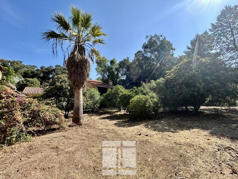 Maison à vendre, 260m², CALENZANA