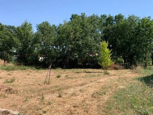 Terrain constructible viabilisé à vendre 93 500 € 563 m² de terrain Fronton 31620
