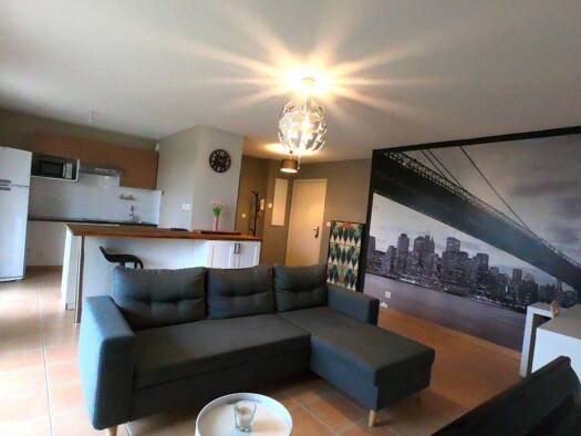 Appartement à louer - logement étudiant 660 € 2 pièces 1 chambre 49 m² RDC La Salvetat-Saint-Gilles 31880