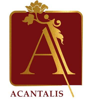 ACANTALIS IMMOBILIERE DE LA REPUBLIQUE
