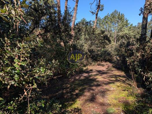 Terrain constructible viabilisé à vendre 92 800 € 546 m² de terrain Le Verdon-sur-Mer 33123