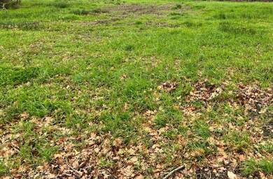 Terrain viabilisé à vendre 245 000 € 800 m² de terrain Centre Agglomere Biganos 33380