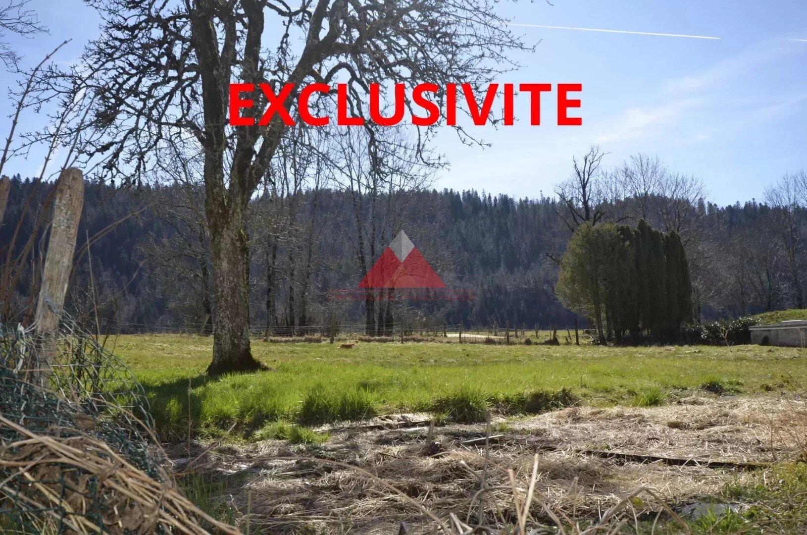 Terrain à vendre 40 000 € 761 m²<br/>terrain Les Chalesmes 39150