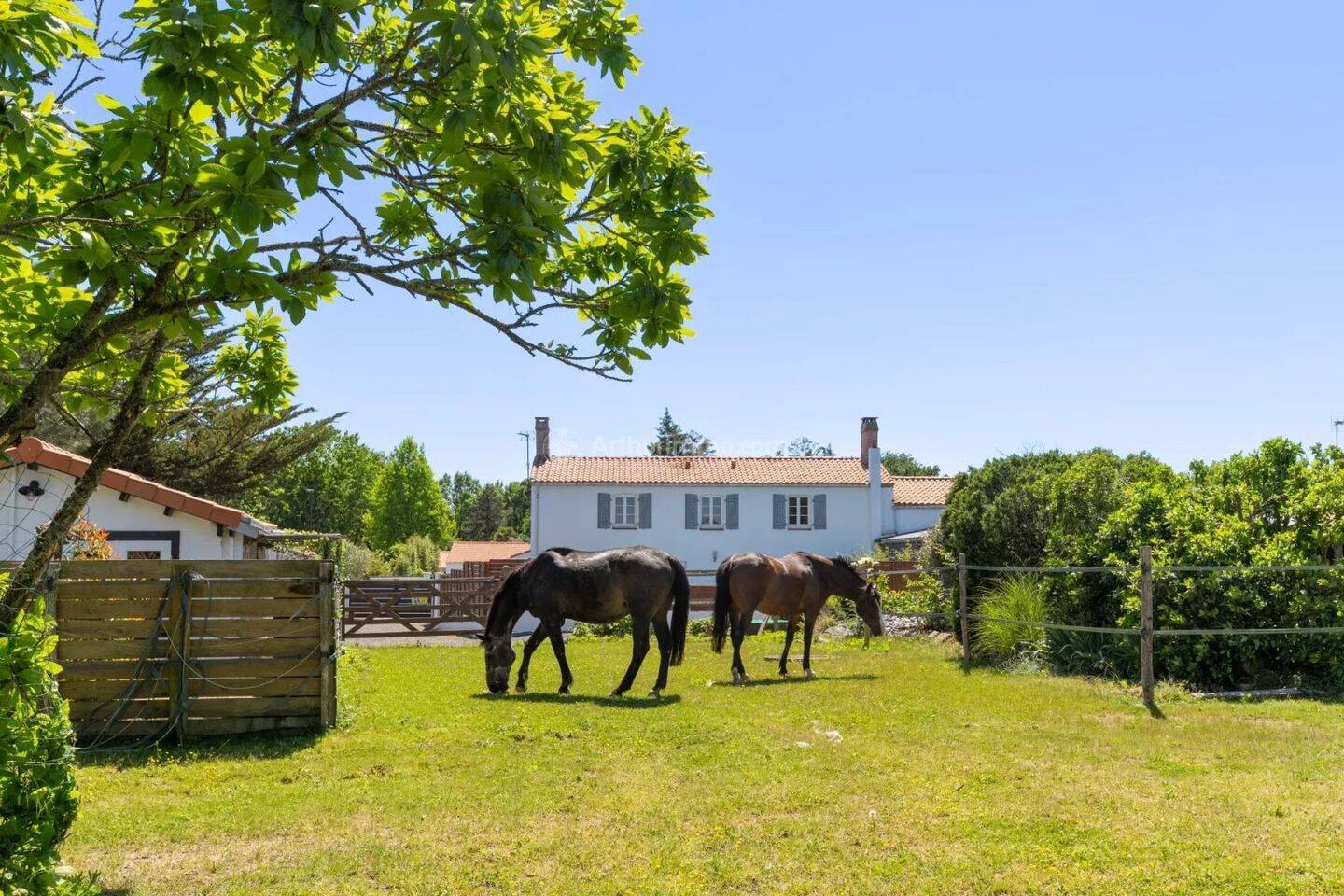 Maison à vendre, 175m², CHALLANS