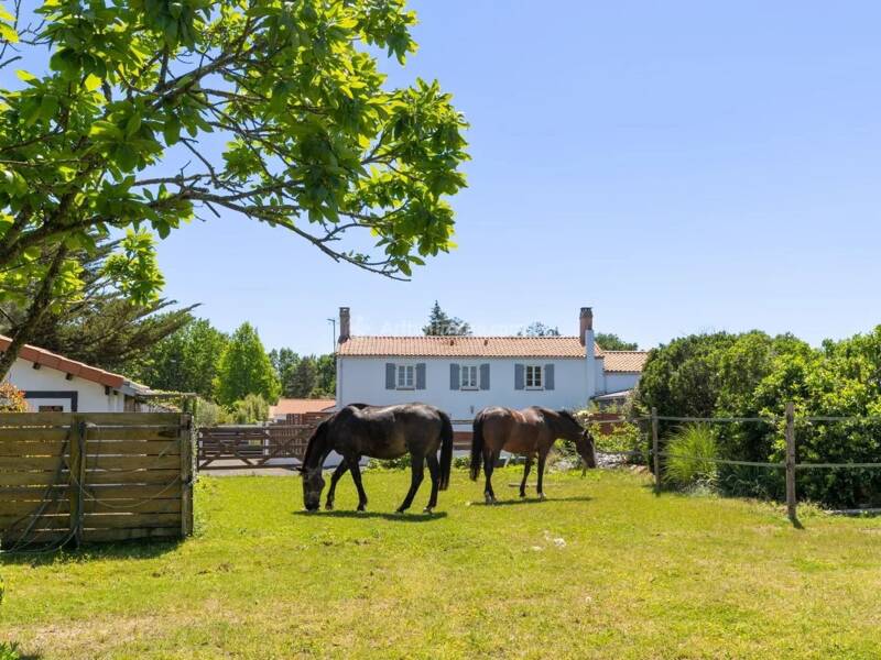 Maison à vendre, 175m², CHALLANS