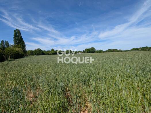 Terrain constructible viabilisé à vendre 34 000 € 680 m² de terrain Centre Ville-Saint Martial Chauvigny 86300