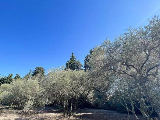 Terrain constructible à vendre 199 000 € 636 m² de terrain Jonquerettes 84450