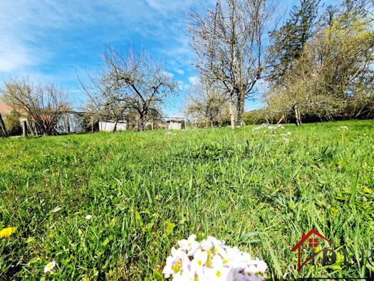 Maison à vendre 77 000 € 5 pièces 3 chambres 115 m² 2 176 m² de terrain Pisseloup 52500