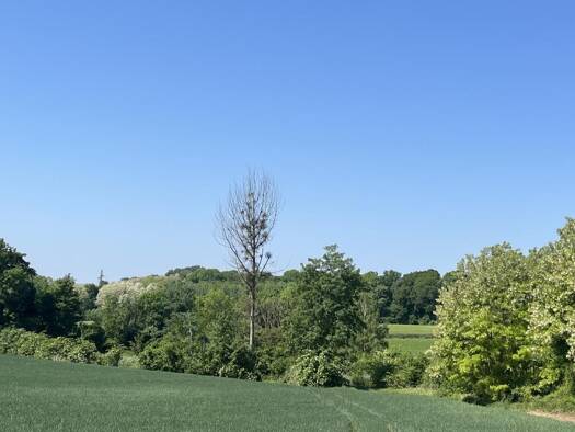 Terrain à vendre 32 000 € 4 873 m² de terrain Crouy 02880