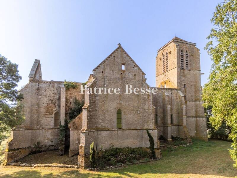 Maison à vendre, 435m², DIJON